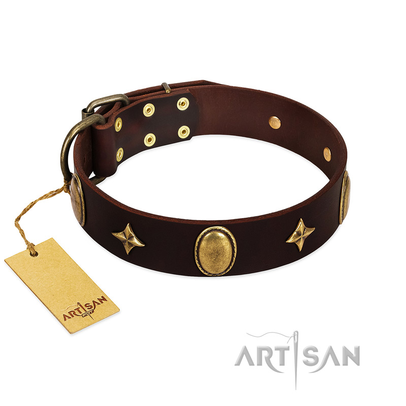 "Victory and Laurels" FDT Artisan Brown Leather Cane Corso Collar with Ovals and Stars