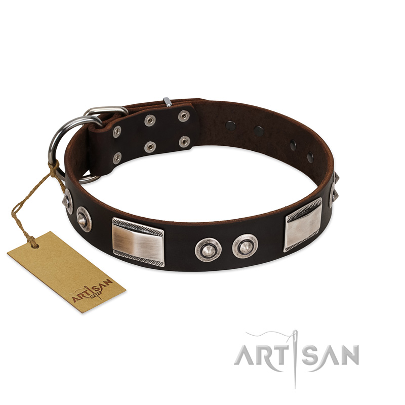 "Baller Status" FDT Artisan Brown Leather Cane Corso Collar Adorned with a Set of Chrome Plated Studs and Plates