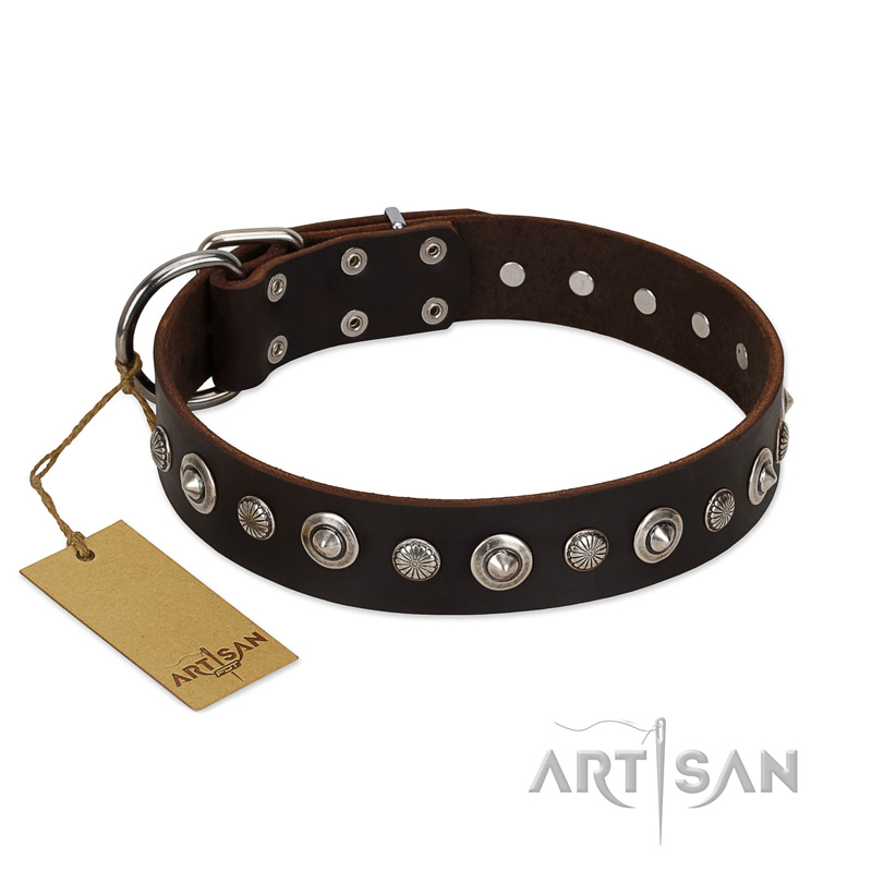 "Gorgeous Shields" FDT Artisan Brown Leather Cane Corso Collar with Old Silver-like Circles and Small Camomiles