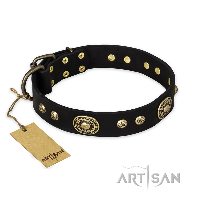 "High Fashion" FDT Artisan Studded with Plates Black Leather Cane Corso Collar