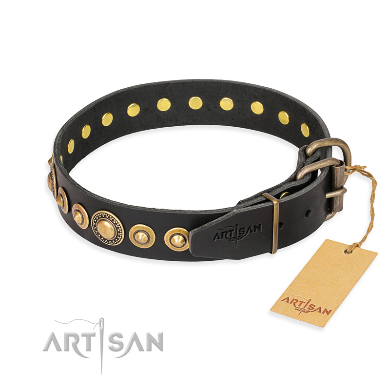 "Gold Mine" FDT Artisan Black Leather Cane Corso Collar with Amazing Bronze-Plated Round Studs - Click Image to Close