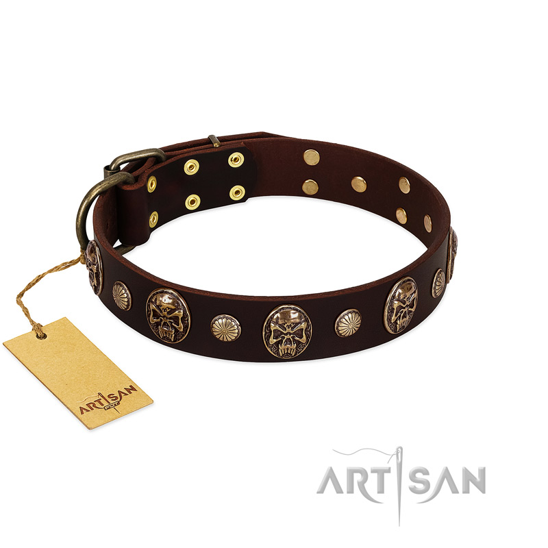 "Snazzy Paws" FDT Artisan Brown Leather Cane Corso Collar Adorned with Conchos and Medallions