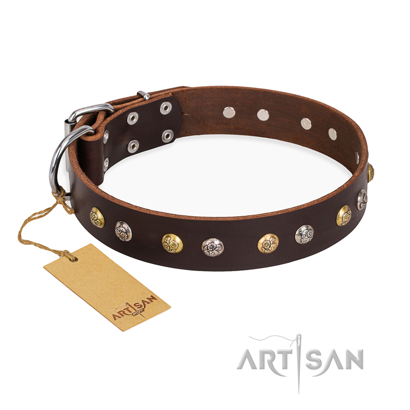 "Rare Flower" FDT Artisan Brown Leather Cane Corso Collar Adorned with Old-look Hemisphere Studs