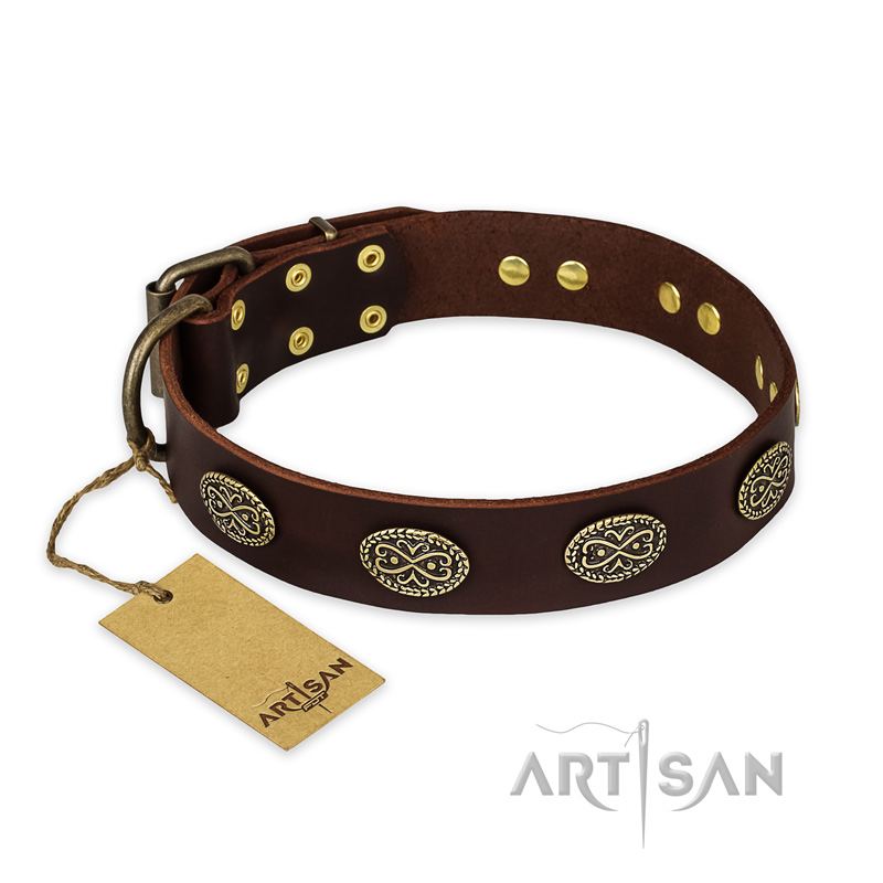 "Chocolate kiss" FDT Artisan Leather Cane Corso Collar with Old Bronze Look Oval Plates