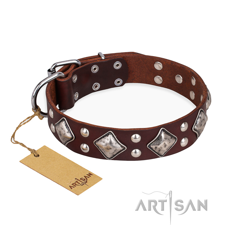 "King of Grace" FDT Artisan Stylish Leather Cane Corso Collar with Old Silver-Like Plated Decorations