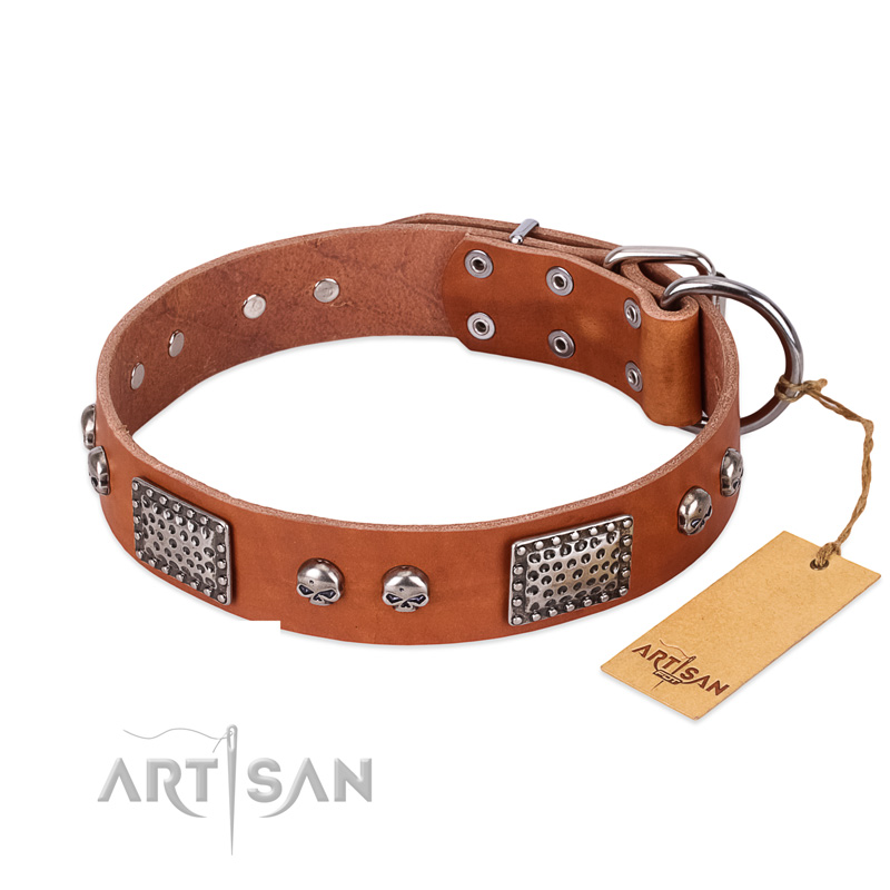 "Sparkling Skull" FDT Artisan Tan Leather Cane Corso Collar with Old Silver Look Plates and Skulls