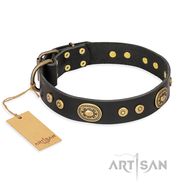 "Golden Radiance" FDT Artisan Black Leather Cane Corso Collar with Old Bronze Look Ovals and Circles