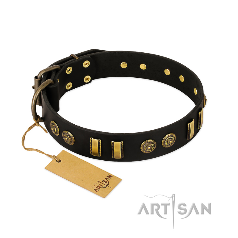 "Simple Elegance" FDT Artisan Black Leather Cane Corso Collar with Old Bronze-like Plates and Circles
