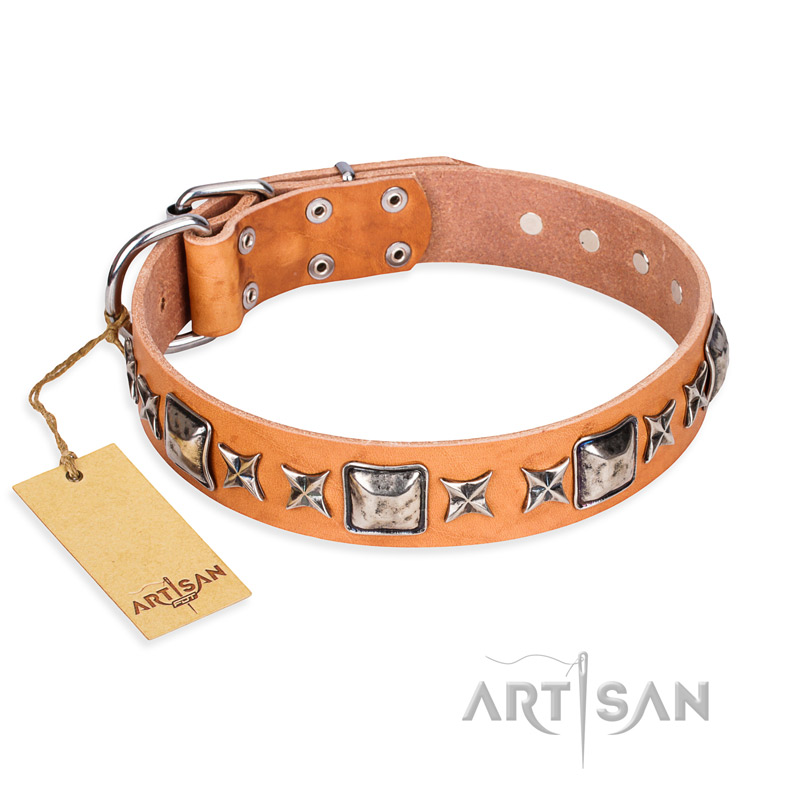 "Glamour Finery" FDT Artisan Female Cane Corso collar of natural leather with stylish old-looking circles