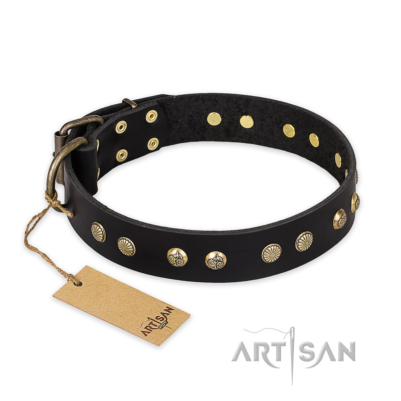 "Black Elegance" FDT Artisan Leather Cane Corso Collar with Round Studs