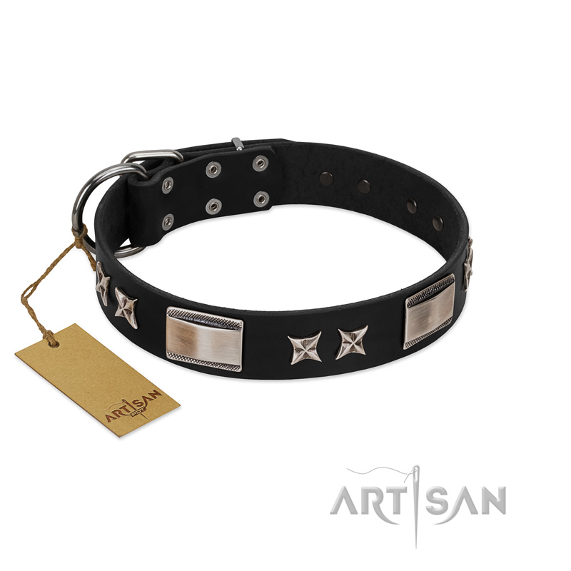"Pitch Dark" FDT Artisan Black Leather Cane Corso Collar with Stars and Plates - Click Image to Close