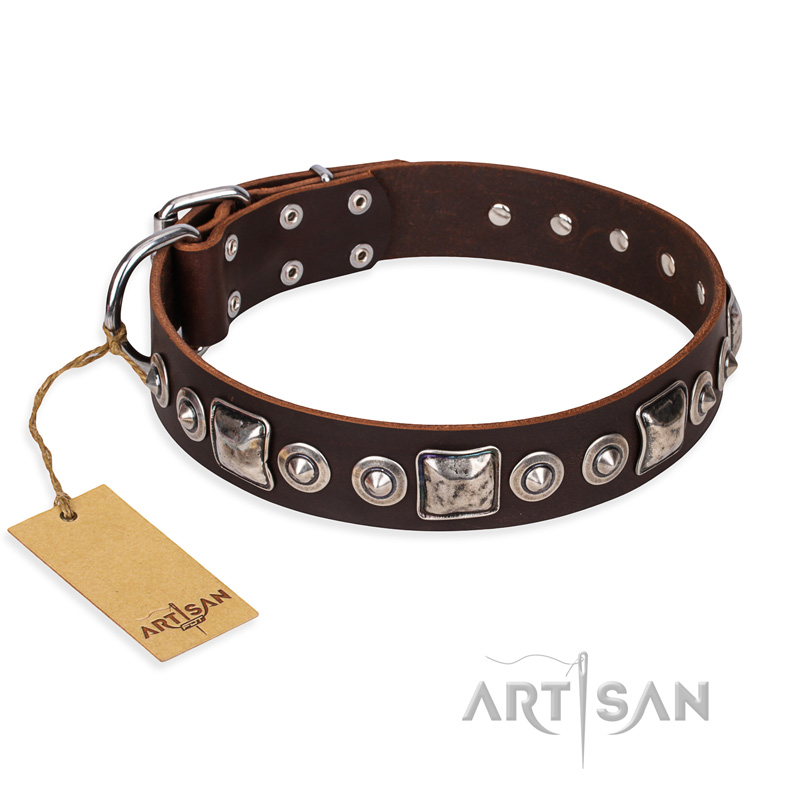 "Pierian spring" FDT Artisan Brown Leather Cane Corso Collar with Silvery Decorations