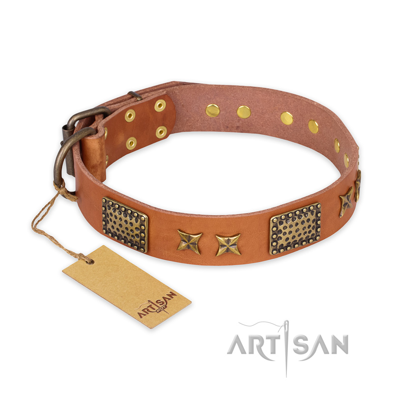 "Cosmic Traveller" FDT Artisan Adorned Leather Cane Corso Collar with Old Bronze-Plated Stars and Plates