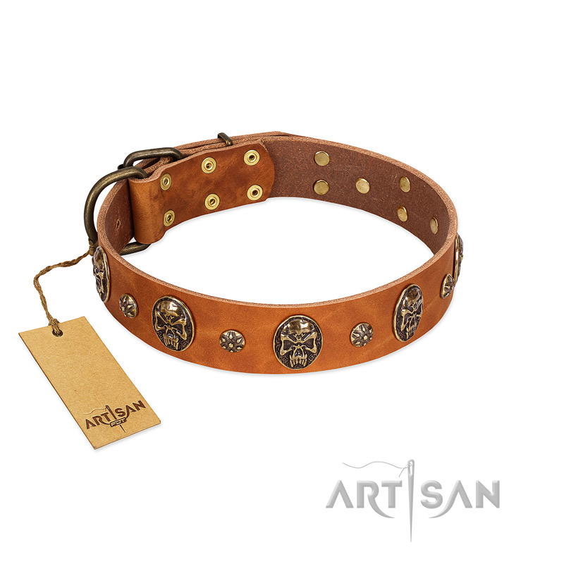 "Rockstar" FDT Artisan Tan Leather Cane Corso Collar with Engraved Studs and Medallions