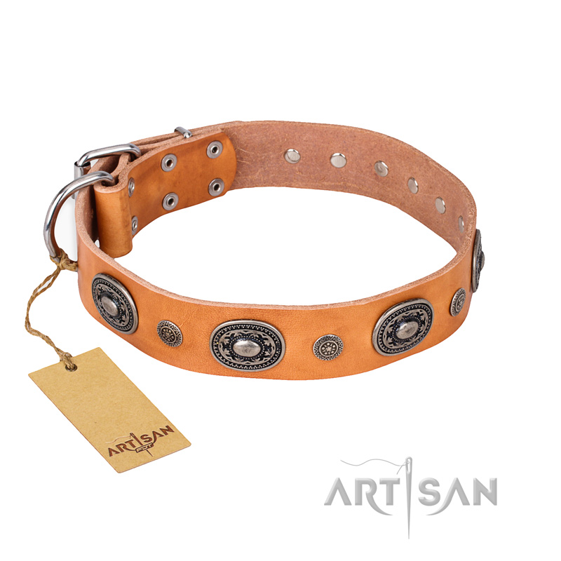 "Twinkle Twinkle" FDT Artisan Incredible Studded Tan Leather Cane Corso Collar