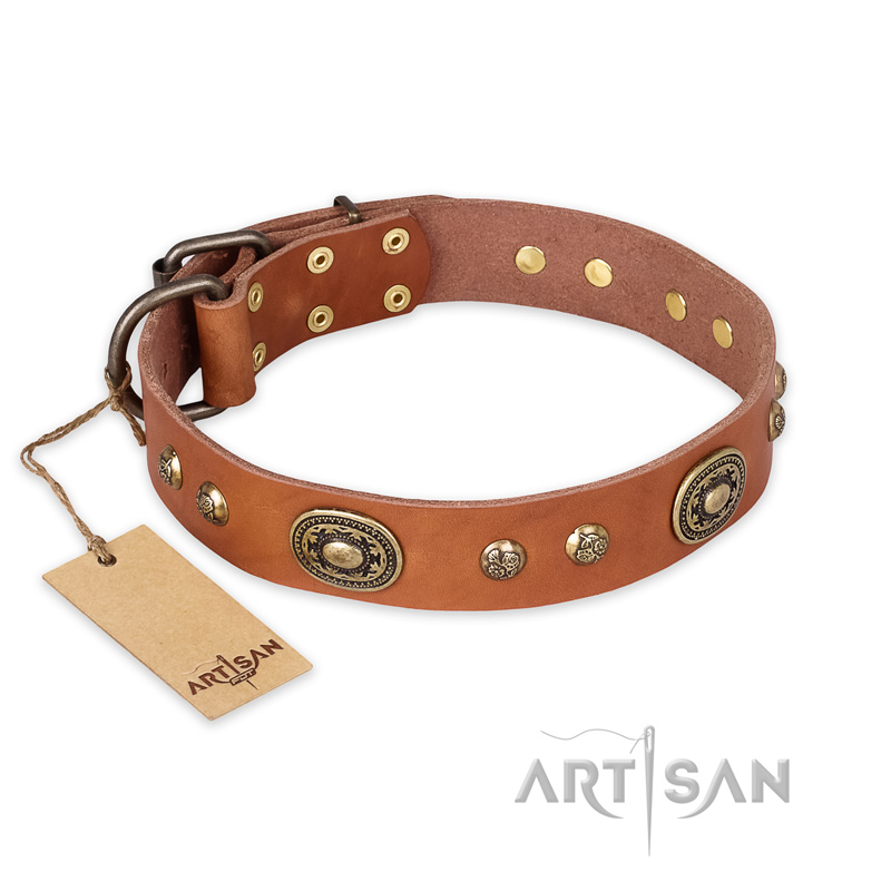 "Stunning Dress" FDT Artisan Tan Leather Cane Corso Collar with Old Bronze Look Plates and Studs