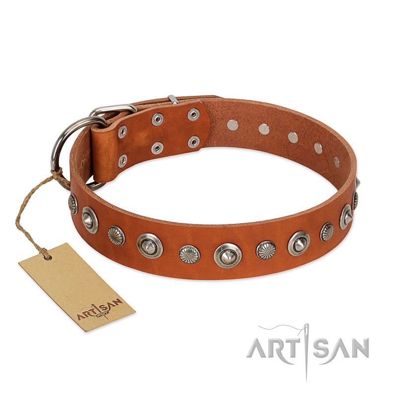 "Gorgeous Roundie" FDT Artisan Tan Leather Cane Corso Collar with Chrome-plated Circles