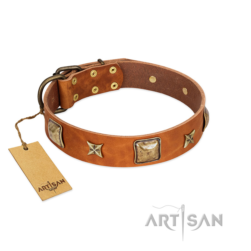 "Celtic Tunes" FDT Artisan Tan Leather Cane Corso Collar Adorned with Stars and Squares