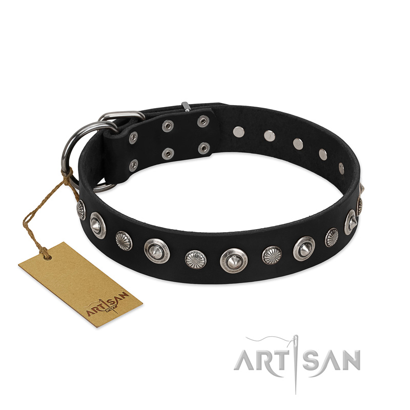 "Genteel Charm" FDT Artisan Black Leather Cane Corso Collar with Silver-like Round Conchos