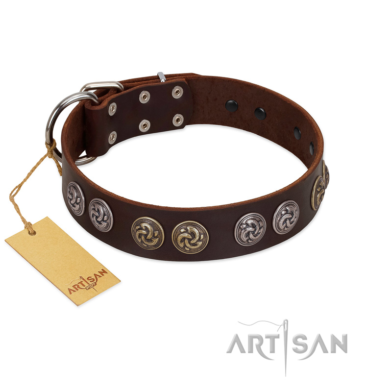 "Treasure Hunter" FDT Artisan Brown Leather Cane Corso Collar with Old-Bronze-like and Silvery Medallions - Click Image to Close