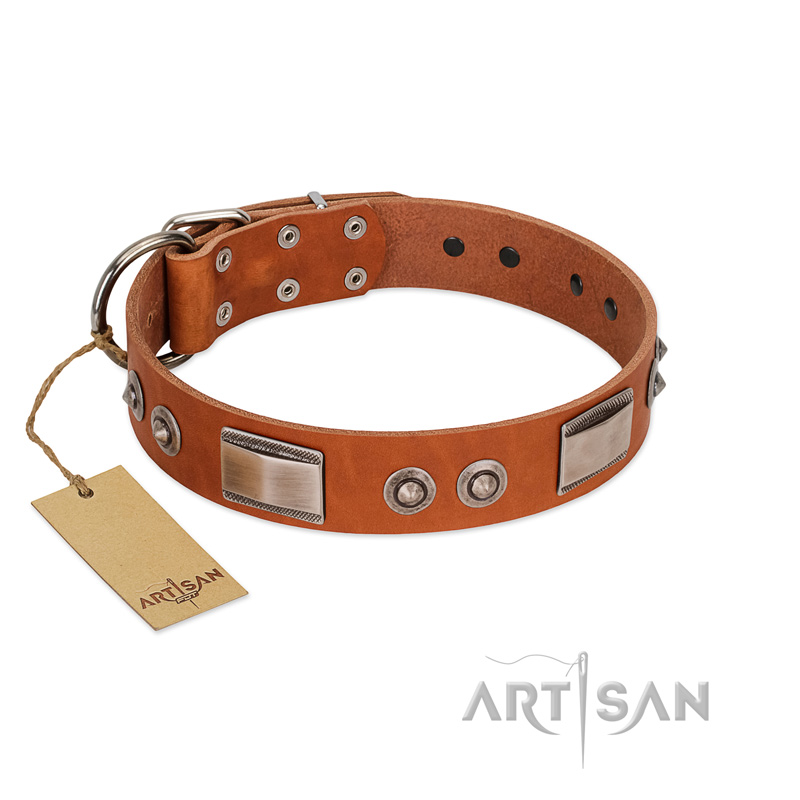 "Pawsy Glossy" FDT Artisan Exclusive Tan Leather Cane Corso Collar 1 1/2 inch (40 mm) wide - Click Image to Close