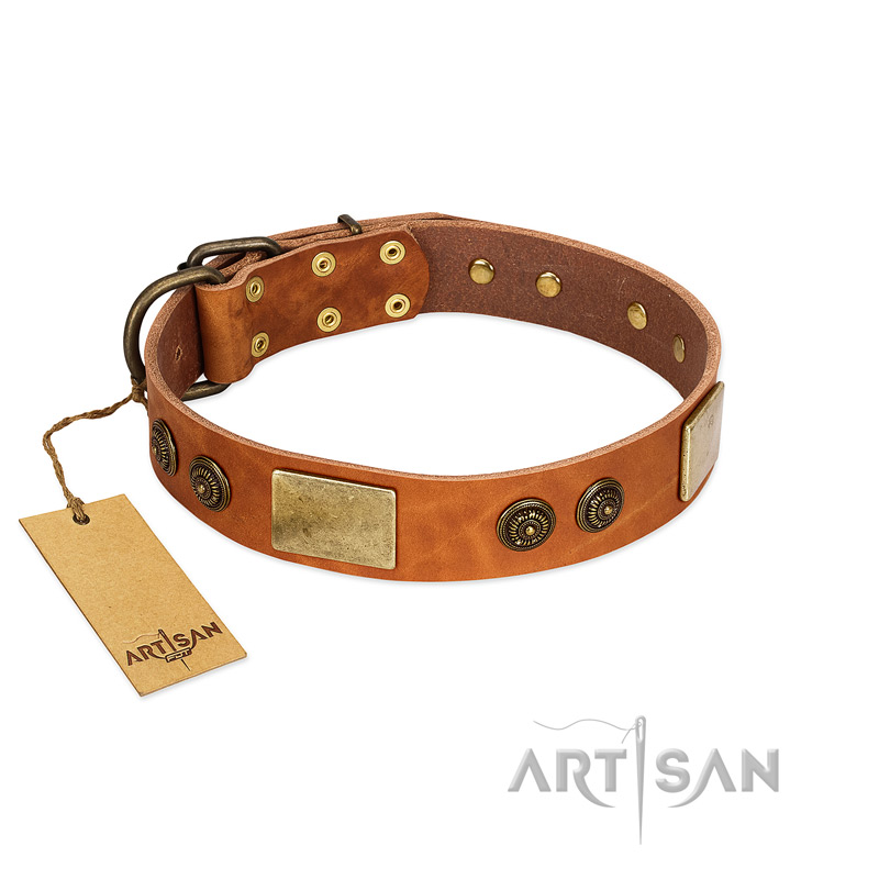 "Bronze Century" FDT Artisan Tan Leather Cane Corso Collar with Plates and Brooches with Cool Ornament