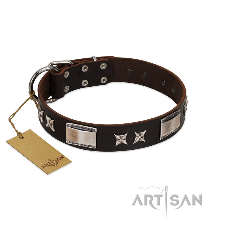 "Satin Beauts" FDT Artisan Brown Leather Cane Corso Collar with Stars and Plates - Click Image to Close