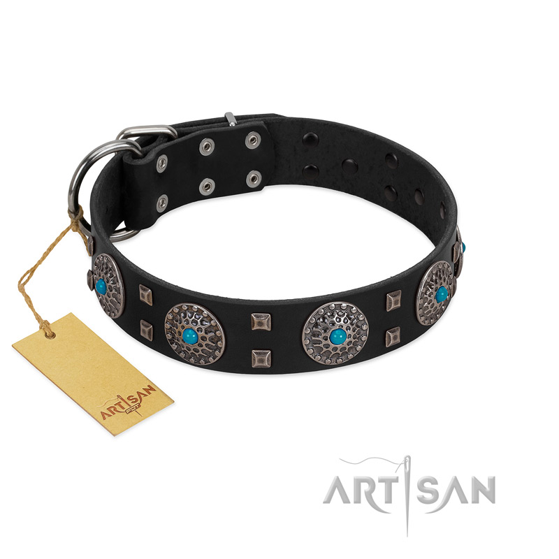 "Boundless Blue" FDT Artisan Black Leather Cane Corso Collar with Chrome Plated Brooches and Square Studs