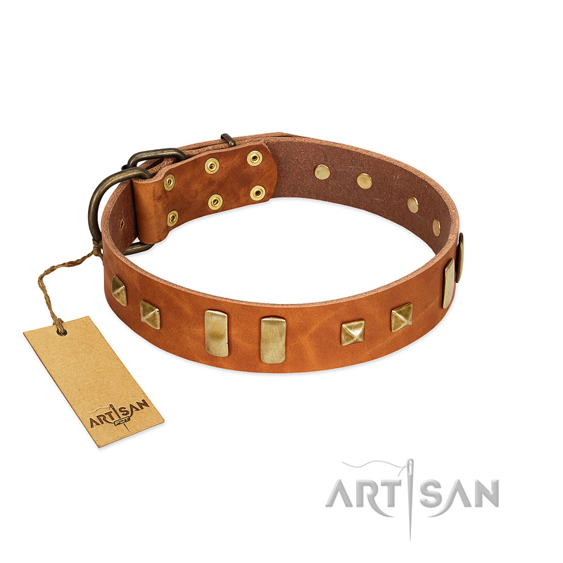 "Sand of Time" FDT Artisan Tan Leather Cane Corso Collar with Old Bronze-like Studs and Plates