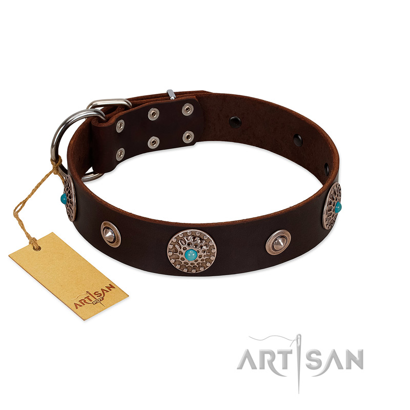"Magic Stones" FDT Artisan Brown Leather Cane Corso Collar with Chrome Plated Brooches and Studs