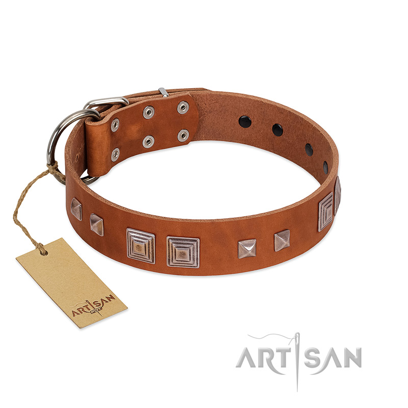 "Egyptian Gifts" Handmade FDT Artisan Tan Leather Cane Corso Collar with Chrome-plated Pyramids