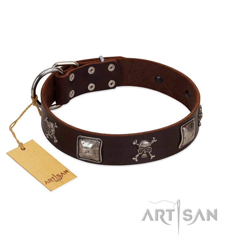 "Nut-Brown Finery" Embellished FDT Artisan Brown Leather Cane Corso Collar with Chrome Plated Crossbones and Plates