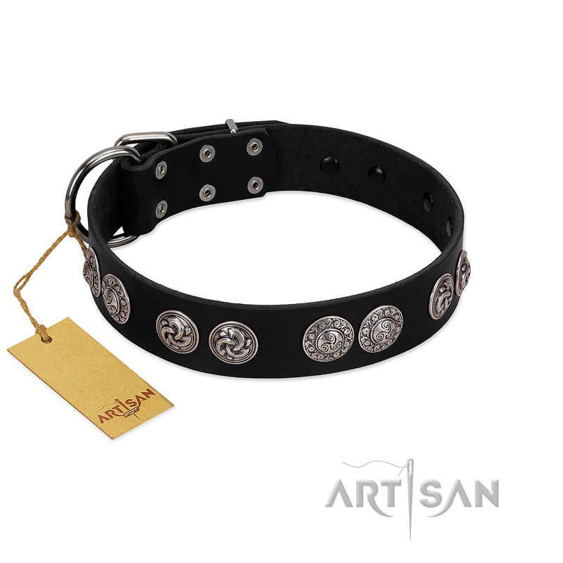 "Magic Amulete" Handcrafted FDT Artisan Black Leather Cane Corso Collar with Chrome-Plated Shields