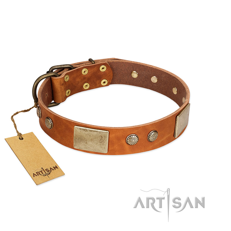 "Ancient Treasures" FDT Artisan Tan Leather Cane Corso Collar with Antiqued Plates and Studs