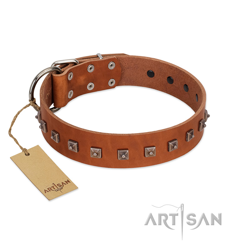 "Guard of Honour " Designer FDT Artisan Tan Leather Cane Corso Collar with Small Dotted Pyramids