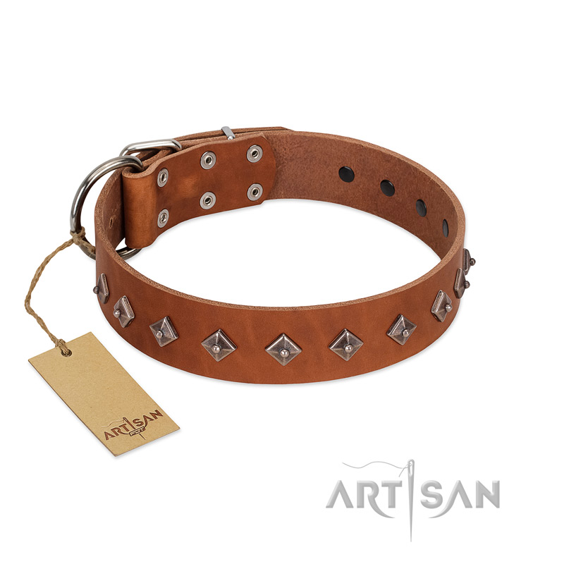 "Broadway" Handmade FDT Artisan Tan Leather Cane Corso Collar with Dotted Pyramids