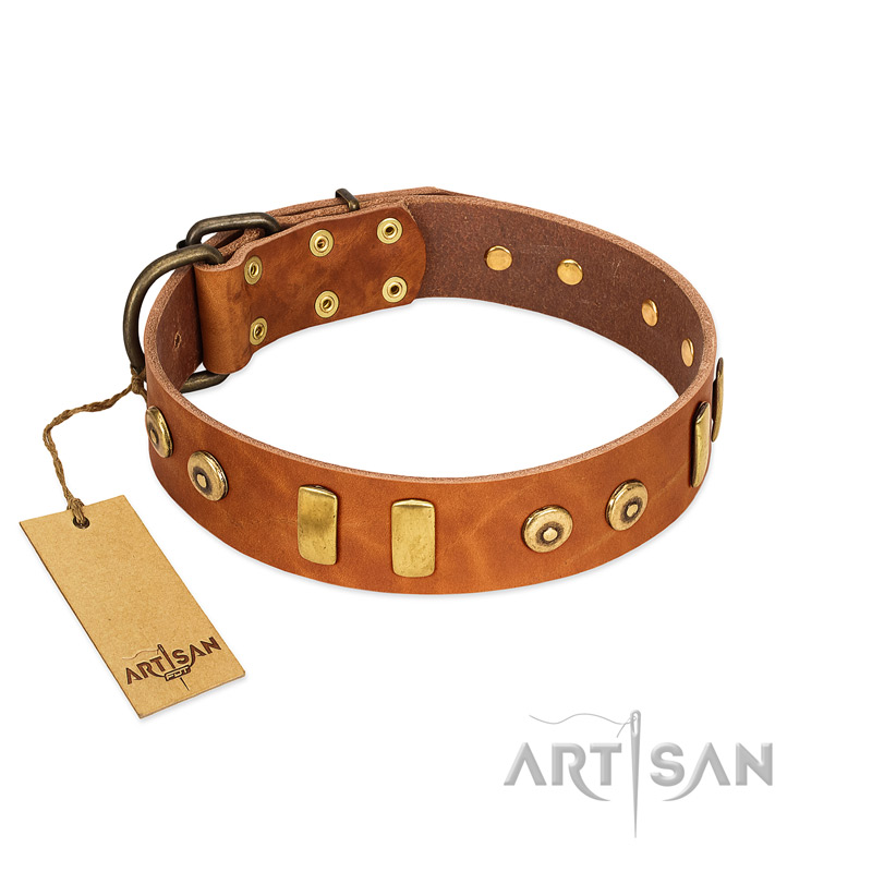 "Egyptian Script" FDT Artisan Tan Leather Cane Corso Collar with Plates and Small Studs - Click Image to Close