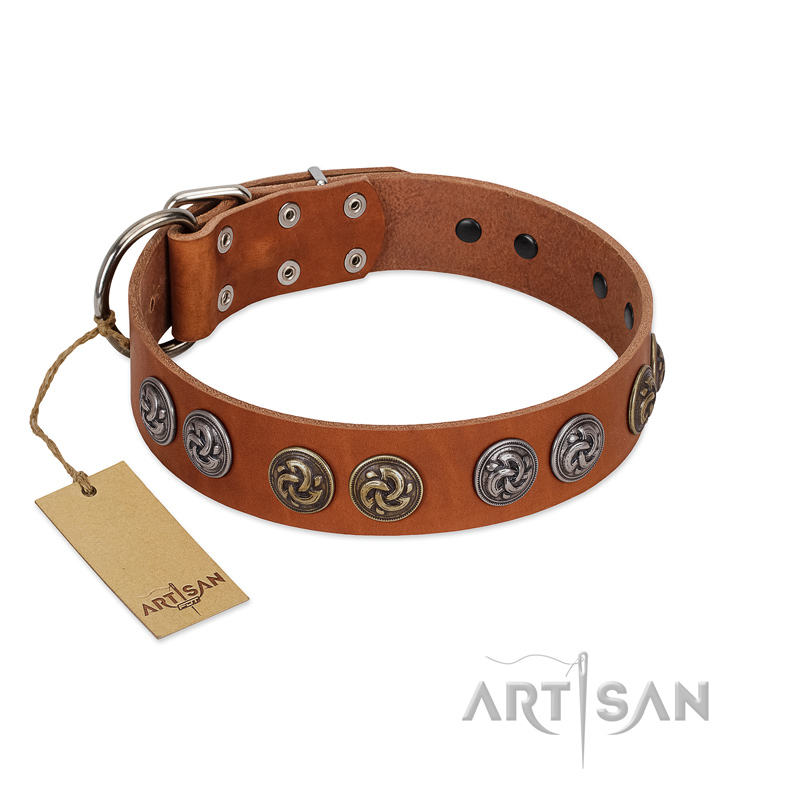 "Luxurious Life" Premium Quality FDT Artisan Tan Leather Cane Corso Collar with Round Adornments