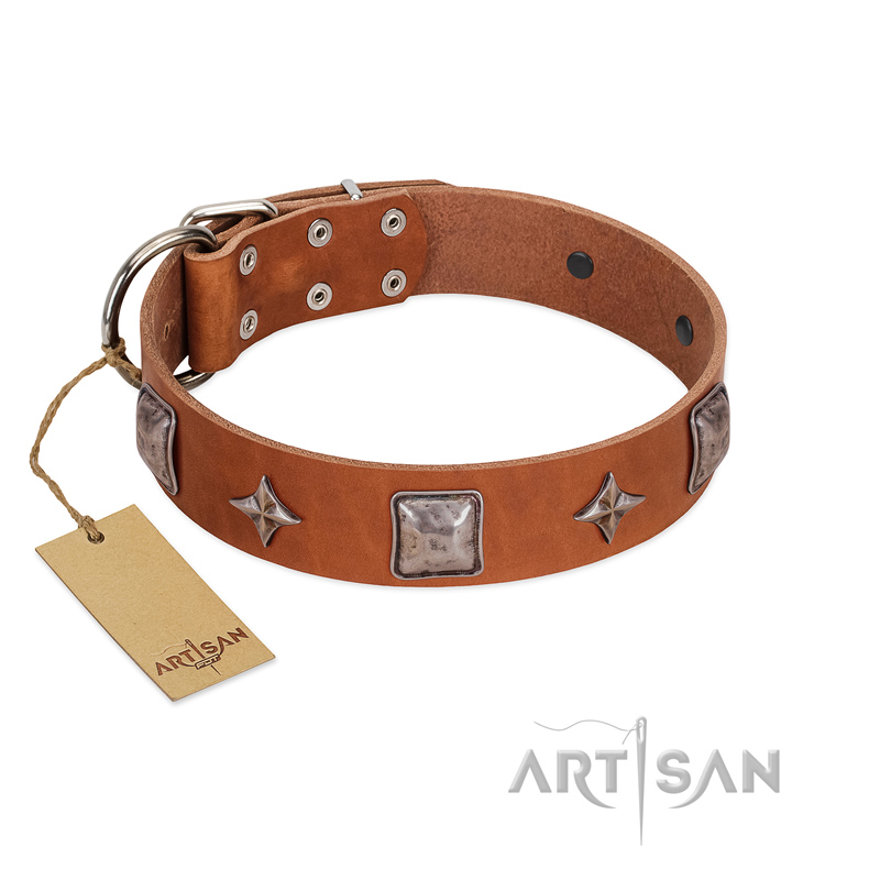 "Lucky Star" FDT Artisan Tan Leather Cane Corso Collar with Silver-Like Embellishments