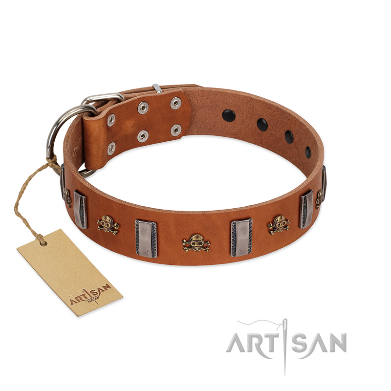 "Golden Crossbones" Handmade FDT Artisan Tan Leather Cane Corso Collar with Plates and Skulls