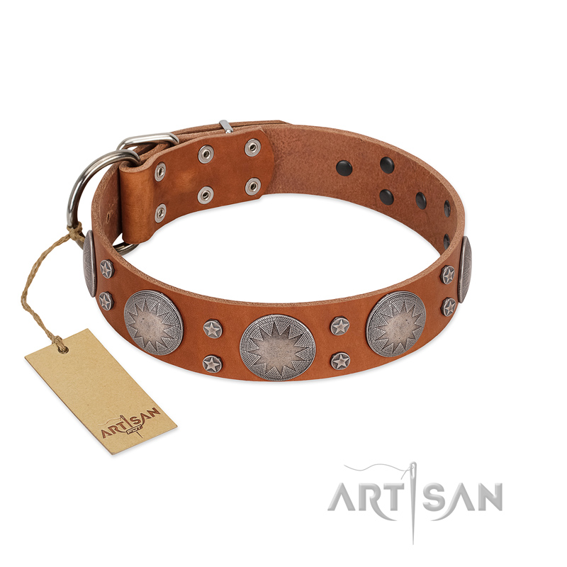"Far Star" FDT Artisan Tan Leather Cane Corso Collar with Engraved Studs