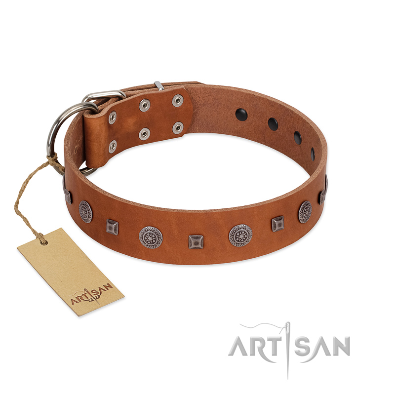 "Sweet Caramel" Designer FDT Artisan Tan Leather Cane Corso Collar