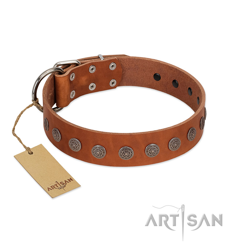 "Lucky Star" Handmade FDT Artisan Designer Tan Leather Cane Corso Collar with Round Plates