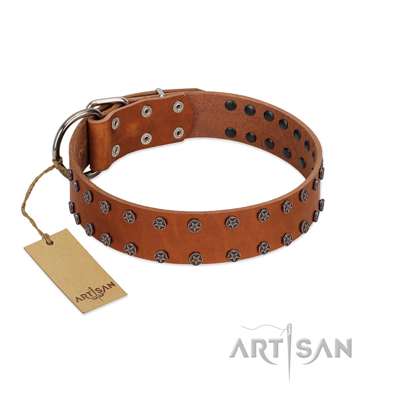 "Star Light" Stylish FDT Artisan Tan Leather Cane Corso Collar with Silver-Like Studs