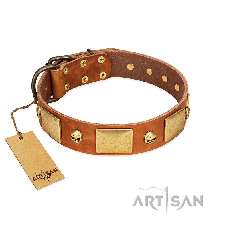 "Mutt The Daredevil" FDT Artisan Tan Leather Cane Corso Collar with Old Bronze-like Skulls and Plates