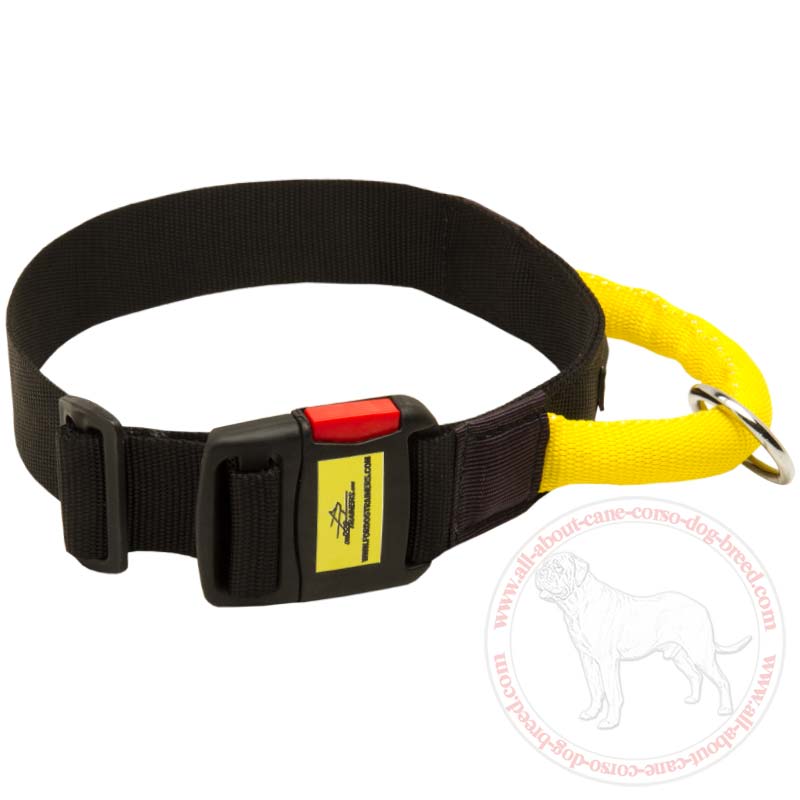 Water Resistant Nylon Dog Collar with Comfortable Handle for Cane Corso