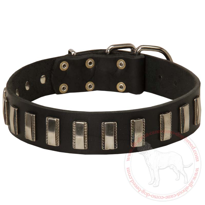 Ornamented with Nickel Plates Leather Dog Collar for Cane Corso