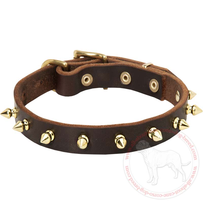 Shock collar best sale for cane corso