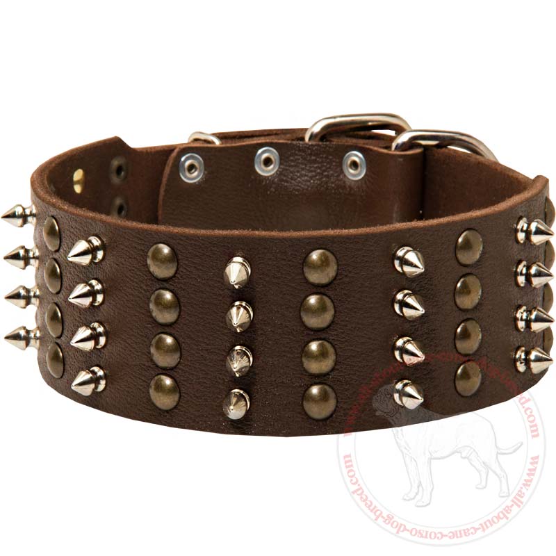 Cane Corso Spiked and Studded Leather Extra Wide Collar