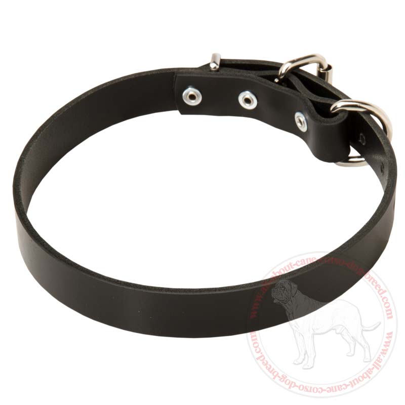 Cane Corso Narrow Leather Collar